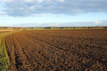 Attivita&#39; Di Sorveglianza Per Organismo Da Quarantena Meloidogyne Graminicola
